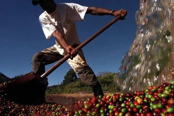 US tariffs push Brazil's trade to China, US export share hits record low