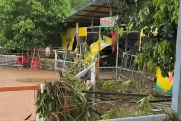 Flooding devastates Chinese zoo, killing lions and freeing zebras
