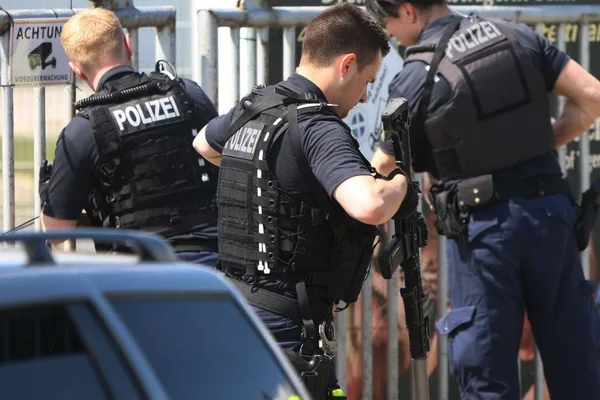 Police kill escaped tiger after it injures handler in Germany