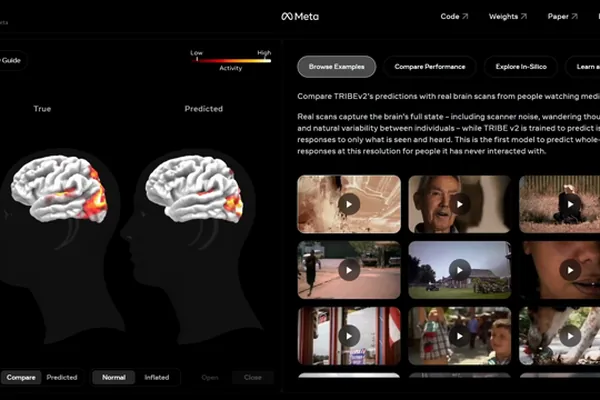 Meta's TRIBEv2 model predicts human brain activity