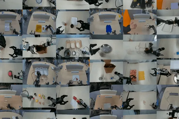 Single AI policy controls 20 diverse robot bodies autonomously